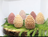 Scented Pinecone Candle