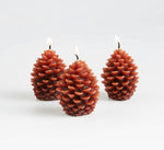 Scented Pinecone Candle